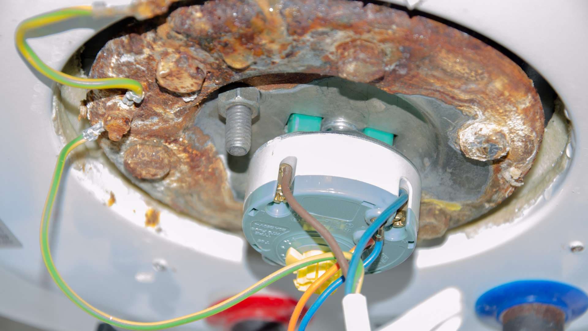 Termo eléctrico con problemas típicos: resistencia, termostato o fuga